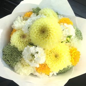 Meet your Posher, Morgan